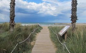 Brisa De Mar En Oliva Nova, Junto A Met Y Golf